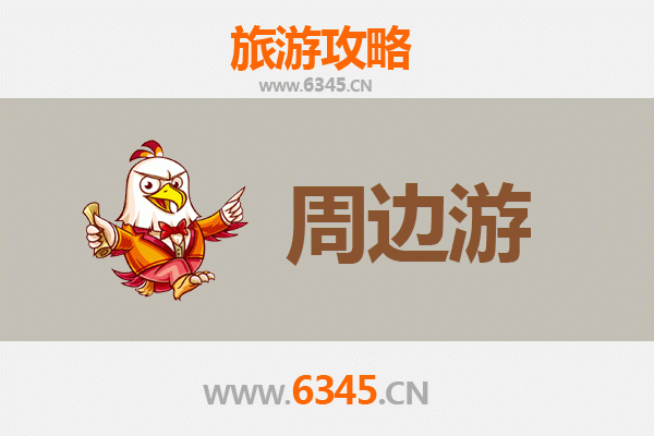 陕西宝鸡岐山周边深度游攻略：周文化发源地与美食探索之旅